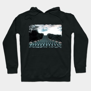 Goose Bumps Hoodie